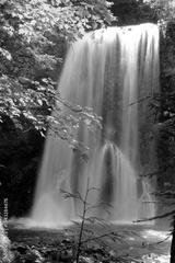 preview bw