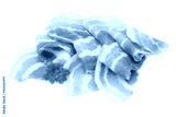 preview cold