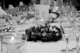 preview bw