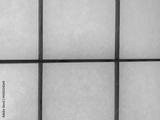 preview bw