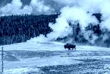 preview cold