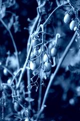 preview cold