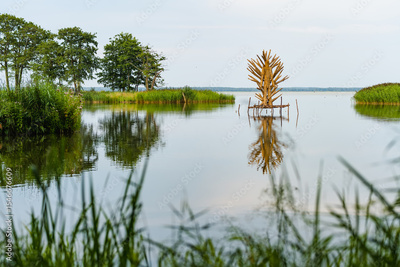 image to crop