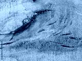 preview cold