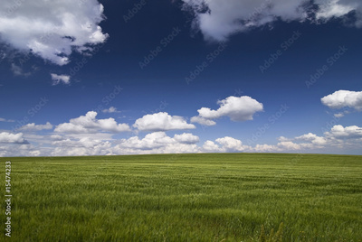 image to crop