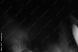 preview bw