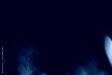 preview cold