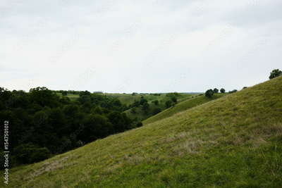 image to crop