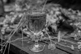 preview bw