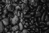 preview bw