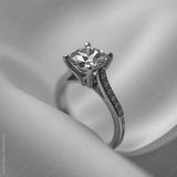 preview bw