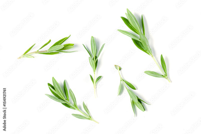 image to crop