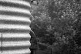 preview bw