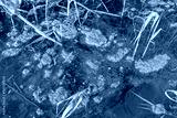 preview cold