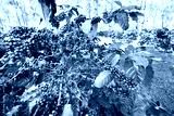 preview cold