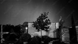 preview bw