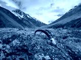 preview cold