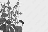 preview bw