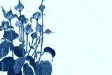 preview cold