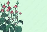 preview original