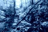 preview cold