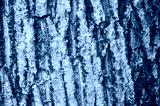 preview cold