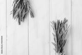 preview bw