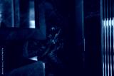 preview cold