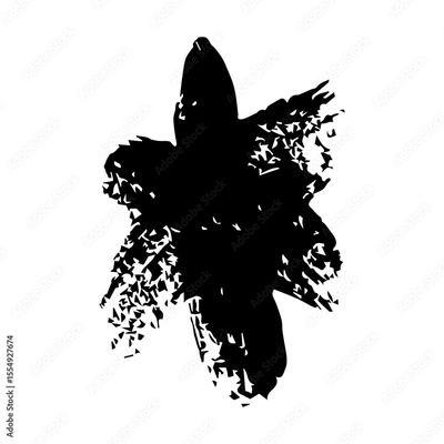 image to crop