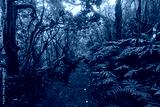preview cold