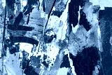 preview cold