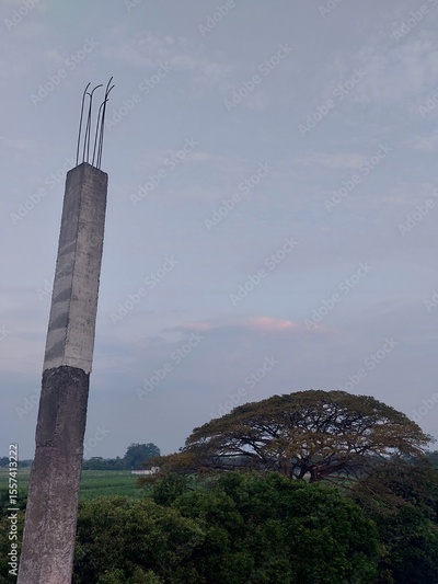 image to crop