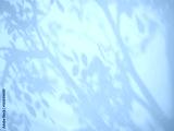 preview cold