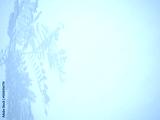 preview cold