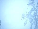 preview cold