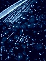 preview cold