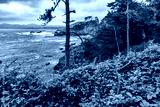 preview cold