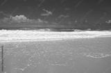 preview bw