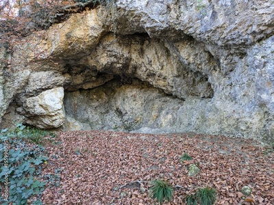 image to crop