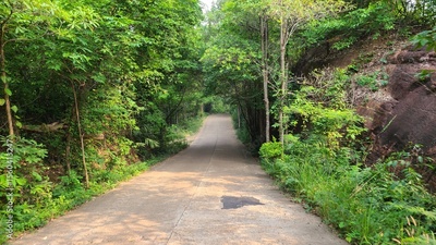image to crop