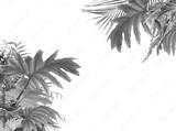 preview bw