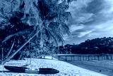 preview cold