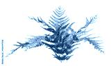 preview cold