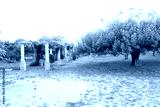 preview cold