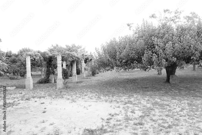 image to crop