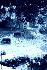 preview cold