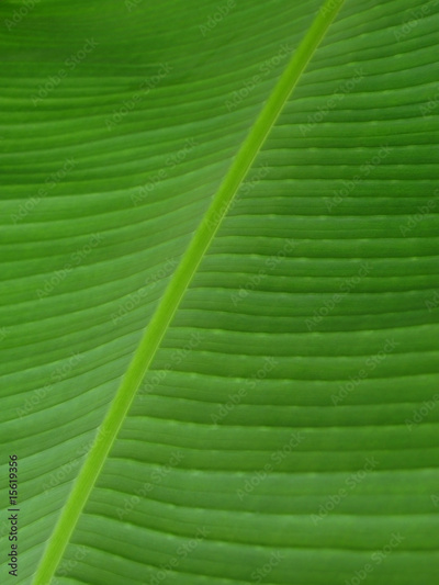 image to crop
