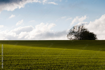 image to crop