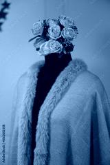 preview cold