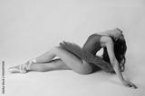 preview bw